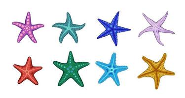 Starfish in different style and colors. Colorful and cute. vector