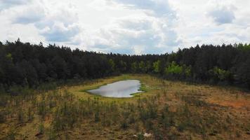 Rising drone view Niauka lake in Kurtuvenai regional park, Lithuania countryside nature and flora. video