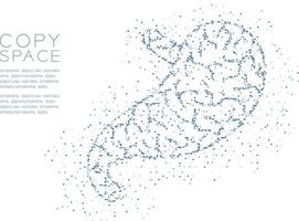 Stomach shape Abstract Geometric Circle dot pixel pattern, Medical Science Organ concept design blue color illustration isolated on white background with copy space, vector eps 10