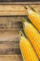 Fresh corn on wooden table background photo