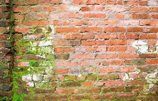 Hi res grunge brick wall background and texture photo