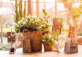 Table decorated with flower vases, Background with sunlight, Vintage style photo