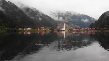 zoom na vista três patos nadam no lago com panorama da vila uzungol no famoso destino de viagem da turquia da manhã enevoada video