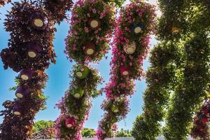 flores en el jardin foto