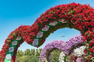 flores en el jardin foto