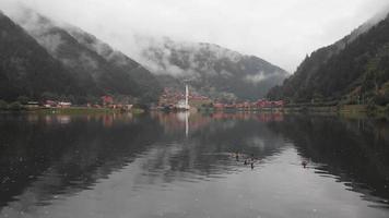 Zoom in view three ducks swim in lake with Uzungol village panorama in misty morning Turkey famous travel destination video