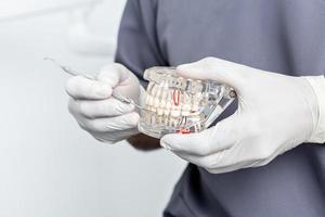 Close up view of the hands of a dentist holding a dental mould photo