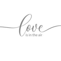Love is in the air vector hand lettering inscription isolated on white background. Valentine's Day typography.