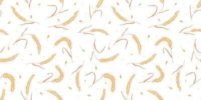 Seamless pattern with whole grain seeds organic, natural ears isolated on white background. vector