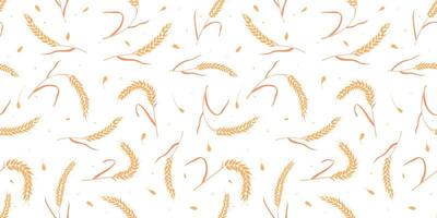 Seamless pattern with whole grain seeds organic, natural ears isolated on white background. vector