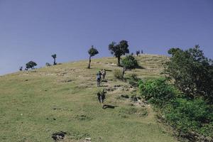 Group Of Hikers Walking Along The Green Hills, Rear View. Travel Tourism Discovery Concept photo