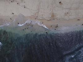 Aerial drone view of Holiday In Gunung Kidul Beach, Indonesia with ocean, boats, beach, and people. photo