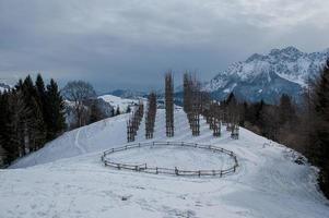 Snowy vegetable cathedral photo