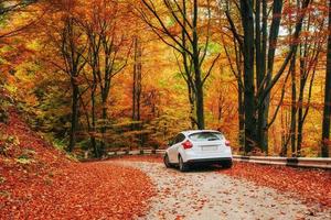 car on a forest path. Beautiful road in mountains Ukraine photo