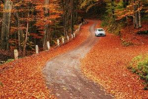 car on a forest path. Beautiful road in mountains Ukraine photo