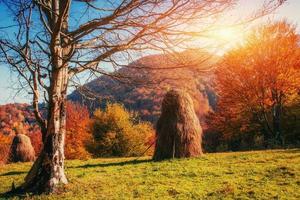 mountain range in the Carpathian Mountains in the autumn season photo