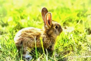 The works in the style of watercolor painting. Fluffy rabbit on photo