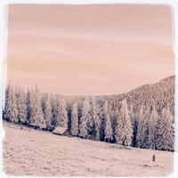 Winter landscape with snow in mountains Carpathians, Ukraine. Vi photo