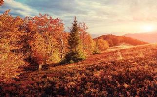 rock massif in the Carpathians. Retro style filter. photo