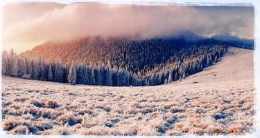 Winter landscape with snow in mountains Carpathians, Ukraine. Vi photo