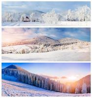 collage de paisajes de invierno foto