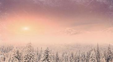 Winter landscape with snow in mountains Carpathians, Ukraine. Vi photo