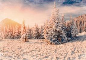 Winter landscape with snow in mountains Carpathians, Ukraine. Vi photo