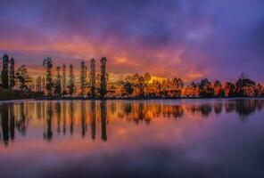 perfecto paisaje de reflexión de la naturaleza en hermosos árboles con un cielo colorido al amanecer. foto