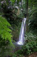 Stunning Purbosono hidden waterfall in a forest