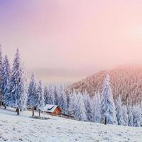cabin in the mountains in winter. Carpathians. Ukraine Europe