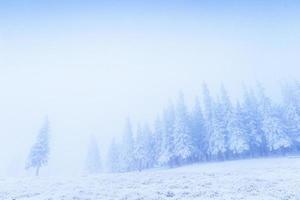 fog in the mountains photo