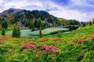 Glade with flowers near the water in the mountains photo