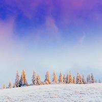 Beautiful winter landscape in the Carpathian mountains photo