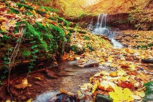 Waterfall in autumn sunlight. Carpathians. Ukraine. Europe photo