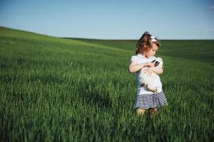 baby rabbit in a field of green wheat photo