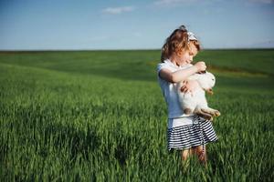 conejo bebé en un campo de trigo verde foto