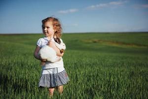 baby rabbit in a field of green wheat photo