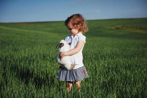 baby rabbit in a field of green wheat photo