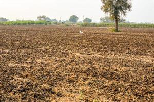 Beautiful plowed field and cloudy sky scene. photo