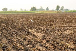 Beautiful plowed field and cloudy sky scene. photo