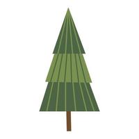 Pine Trees Illustration vector