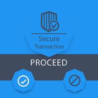 Secure Transaction window, ui design elements, vector illustration