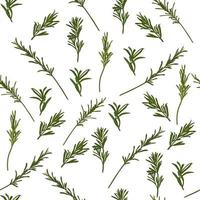 Rosemary seasoning, juicy fresh pattern. An endless pattern of green leaves. For wrapping paper. Ideal for wallpaper, surface textures, textiles. vector