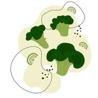 Broccoli vector stock illustration. Green cabbage. Vegetables. Abstract poster for the kitchen. Isolated on a white background.