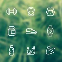 Gym, fitness training icons set, linear pictograms on blurred background vector