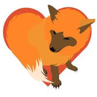 Red fox vector stock illustration. A fox in love. Heart close-up. A wild furry animal. Vulpes. Isolated on a white background.