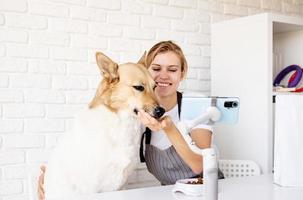 Young caucasian woman groomer blogger speaking looking to camera, having stream with her dog photo