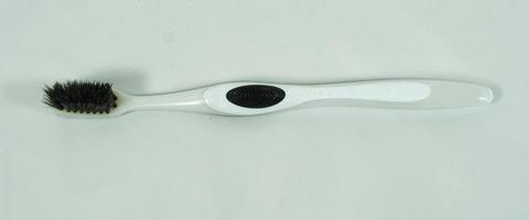 tooth brush in white background image photo