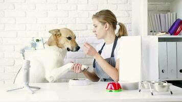 Young caucasian woman groomer blogger speaking looking to camera, having stream with her dog video