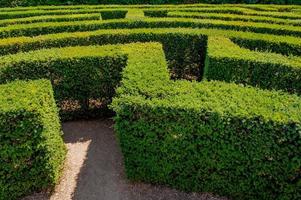 Labyrinth in botanical garden photo